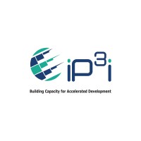 International Public Private Partnership Institute logo - Similar company to L&M Conseils