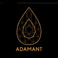 Adamant Intelligent Solutions Inc. logo - Similar company to Gonfty