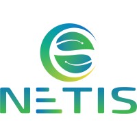 NETIS Group logo - Similar company to Group Vivendi Africa