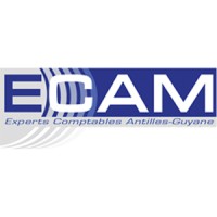 ECAM Antilles - Guyane logo - Similar company to Sowaperf