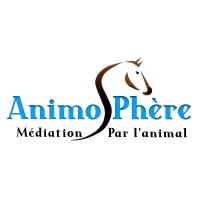 Animosphère logo - Similar company to Wersus