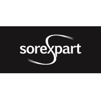 SORAN OTOMOTİV logo - Similar company to Tas Caliper