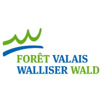 Forêt Valais / Walliser Wald logo - Similar company to Gluly