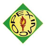 PEXIMCO | Popular Export & Import Company Pvt. Ltd. logo - Similar company to Import Export Tire Company, Llc