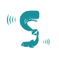SEASOUNDS logo - Similar company to Cheese Coe