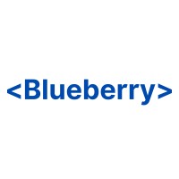 Blueberry SYSTEMS logo - Similar company to Silk Cloud - სილქ ქლაუდი