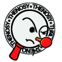 The Nosy Magazine logo - Similar company to Luiss Model United Nations Association