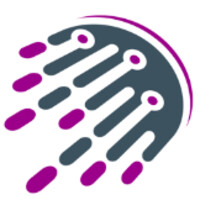 DataMossa logo - Similar company to Comvergence Pty Ltd