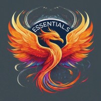 Essentials hub logo - Similar company to Strive