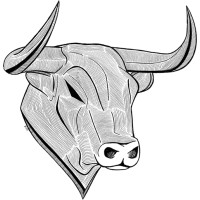 Lone Bull Group logo - Similar company to Mindbridge Group