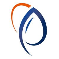 Petro Risk Consultancy LLC logo - Similar company to 360 Engineering Management Solutions