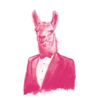 The Llama Group logo - Similar company to Ponja