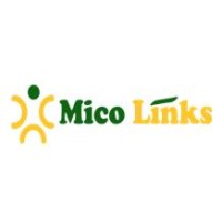 MICOLINKS SERVICES INDIA PRIVATE LIMITED logo - Similar company to Codenet It Solutions