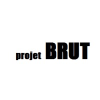 Projet BRUT logo - Similar company to Mon Petit Meuble