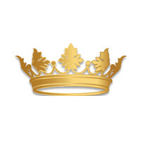 Real Tabacalera de Santiago logo - Similar company to Bronway Tabaco