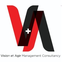 V+A Consulting logo - Similar company to Lilolele Incorporated