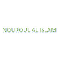 Nourou Al Islam logo - Similar company to Musso