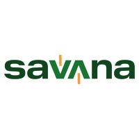 Savana Technology logo - Similar company to Millennial Web3 Group