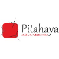 Pitahaya Agencia Publicitaria logo - Similar company to Pitahaya