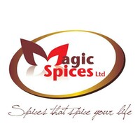 Magic Spices Group