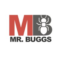 Mr Buggs