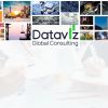 DataViz Global Consulting logo - Similar company to Delta Research