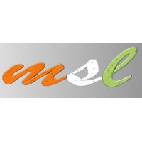 MSL RENEWABLE ENERGY POWER PRIVATE LIMITED logo - Similar company to Spire Venture