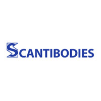 Reclutamiento Scantibodies logo - Similar company to Cantor Bioconnect, Inc.