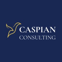 Caspian Consulting logo - Similar company to Caspian Consulting Inc