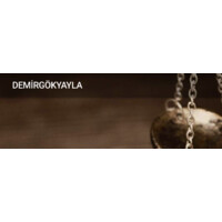 DemirGokyayla logo - Similar company to Sosyalkafa