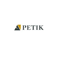 Petik Limited logo - Similar company to Mg Computer Services