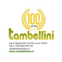 Autonoleggi G. Tambellini srl logo - Similar company to Gitto Autonoleggi