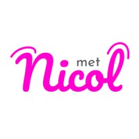MetNicol logo - Similar company to De Leo Media