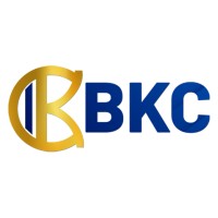 Blue Knight Capital logo - Similar company to Electrum Capital