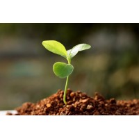 Nutricionista: Debate e Reflexão logo - Similar company to Movimento Army Power