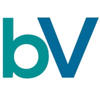 beyonViz logo - Similar company to Virtuosi Advisory