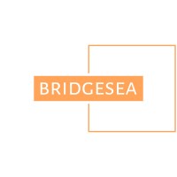 Bridgesea Hardware logo - Similar company to Custom Cnc Solutions