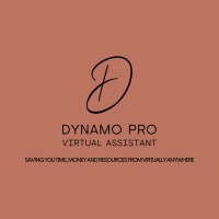 Dynamo Pro Virtual  Assistant logo - Similar company to Estudio De Arte Pedro Pablo Oliva