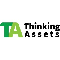 Thinkingassets