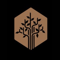 BlackOAK Real Estate Advisory logo - Similar company to Lt Real Estate