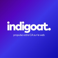 Indigoat logo - Similar company to Winorwin Vannes