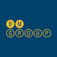 BM GROUP Bolivia logo - Similar company to Bionic Mind