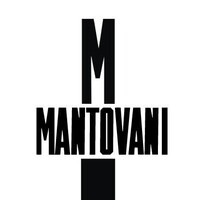 Mantovani Shop logo - Similar company to Ritz Srl