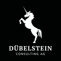 Dübelstein Consulting AG logo - Similar company to Iseli + Albrecht AG