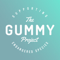 The Gummy Project logo - Similar company to Snack Studio