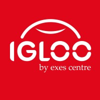 IGLOO exes centre logo - Similar company to Tpnk