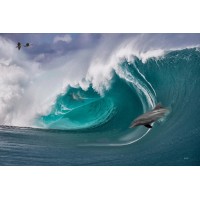 Hawaiian surf logo - Similar company to Ojo Network