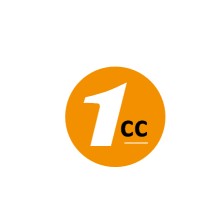 1st Computer Consultancy logo - Similar company to Tuples