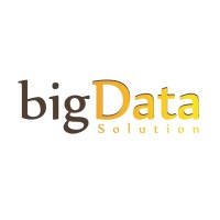 Big Data Solutions Corp. Viet Nam (Big Data Uni) logo - Similar company to Stealth Startup In Data Engineering & Research