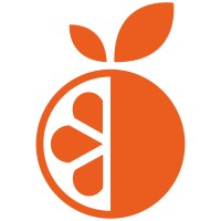 Mentorange logo - Similar company to Aka Enterprise Solutions